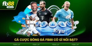 Cá Cược Bóng Đá FB88 Có Gì Nổi Bật? - Phân Tích Toàn Diện