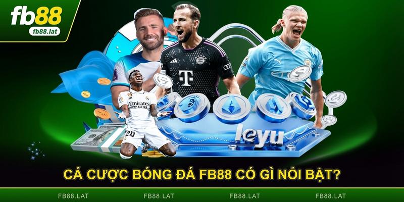 Cá Cược Bóng Đá FB88 Có Gì Nổi Bật? - Phân Tích Toàn Diện