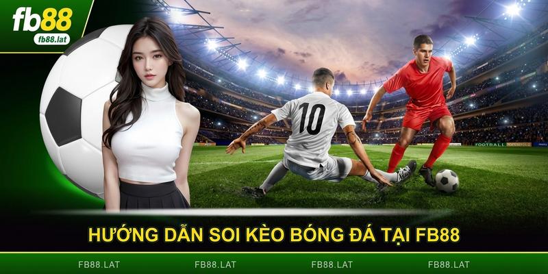 Hướng dẫn soi kèo bóng đá tại FB88 dành cho tân thủ